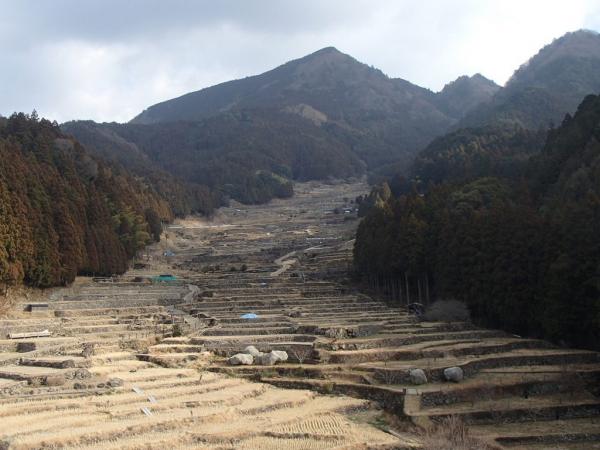 有名な？千枚田